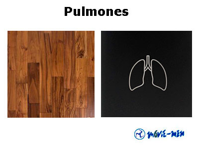 Alquiler Pulmones